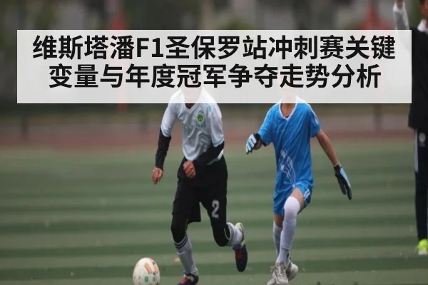 维斯塔潘F1圣保罗站冲刺赛关键变量与年度冠军争夺走势分析